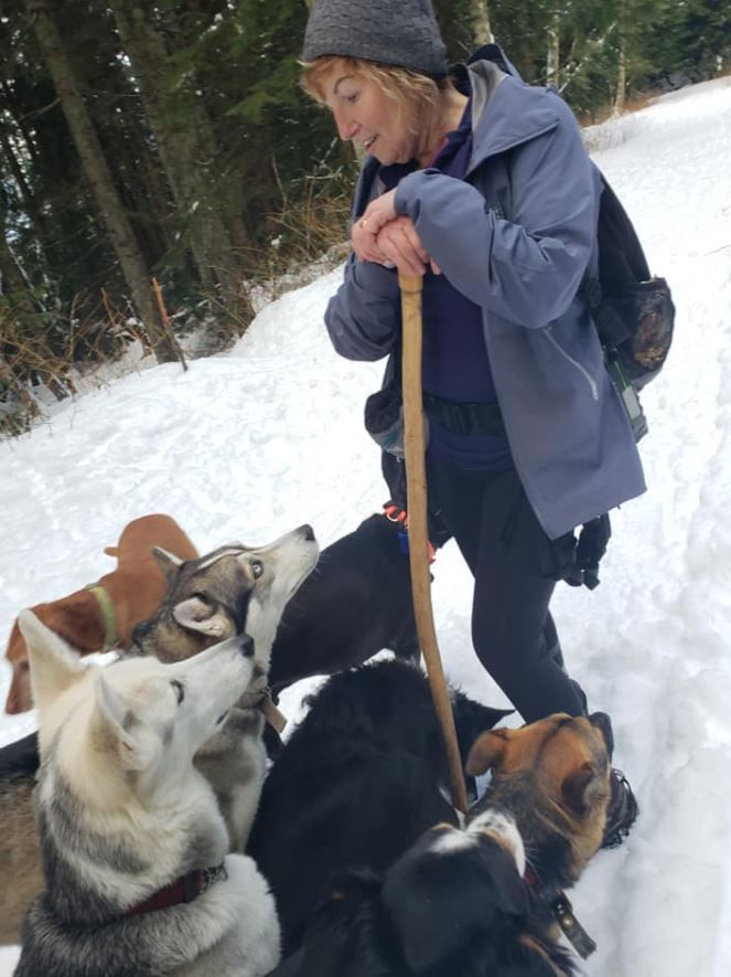 Dog Walker Goes Missing, Rescuers Can’t Believe What They Come Across During the Search